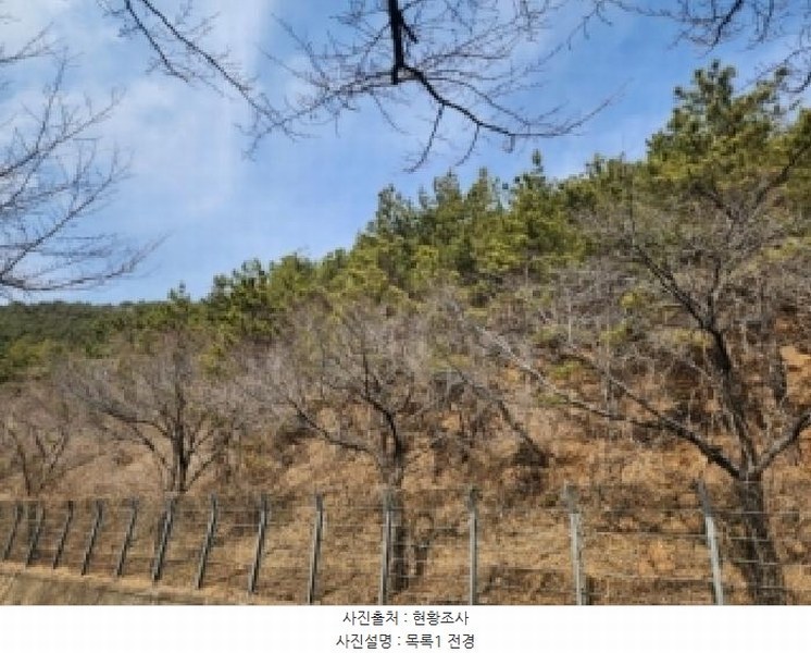 2026타경11 전라남도 광양시 마동 산68-16 임야 경매 이미지