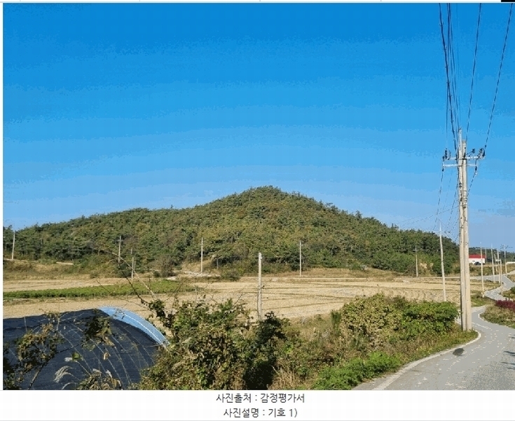 2025타경51583 전라남도 신안군 증도면 병풍리 산142 임야 경매 이미지