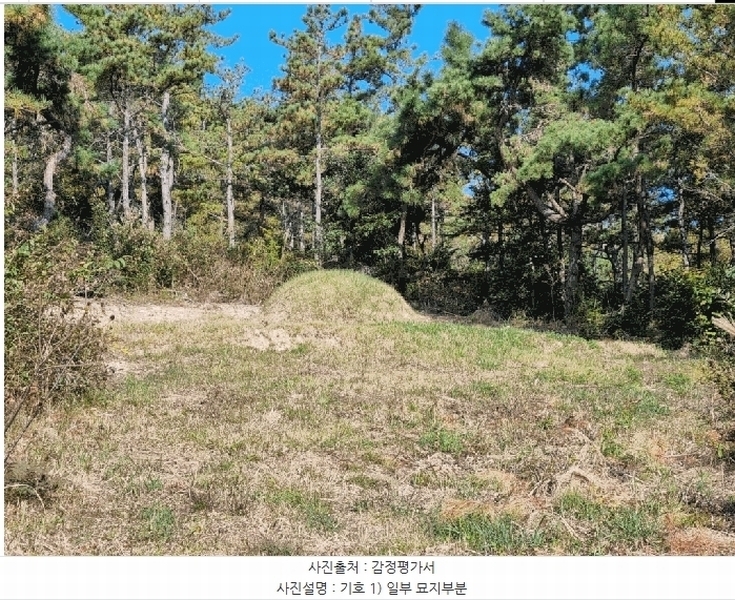 2025타경51583 전라남도 신안군 증도면 병풍리 산142 임야 경매 이미지