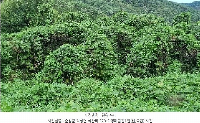 2025타경30235 전북특별자치도 순창군 적성면 석산리 279-2 농지 경매 이미지