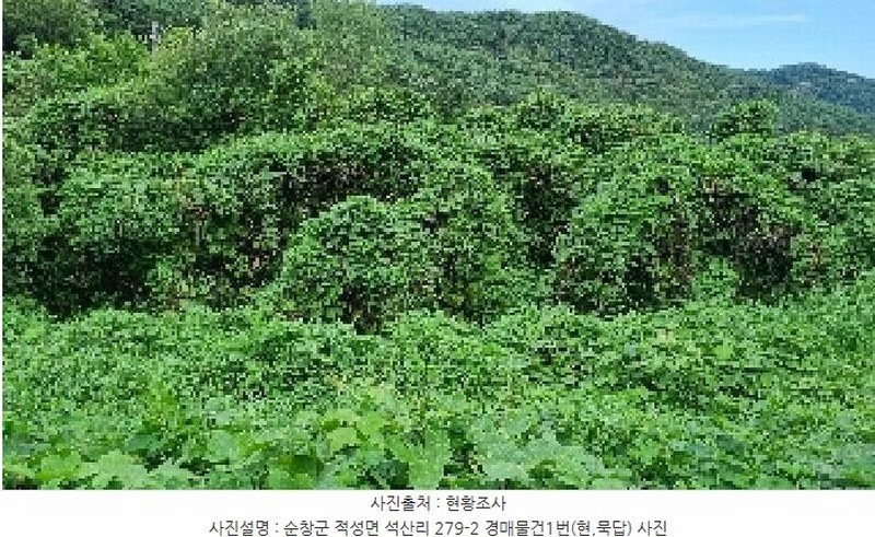 2025타경30235 전북특별자치도 순창군 적성면 석산리 279-2 농지 경매 이미지