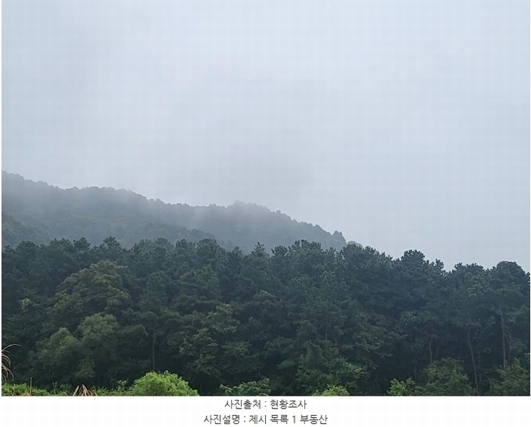 2023타경3464 경기도 여주시 대신면 옥촌리 31-2 임야 경매 이미지