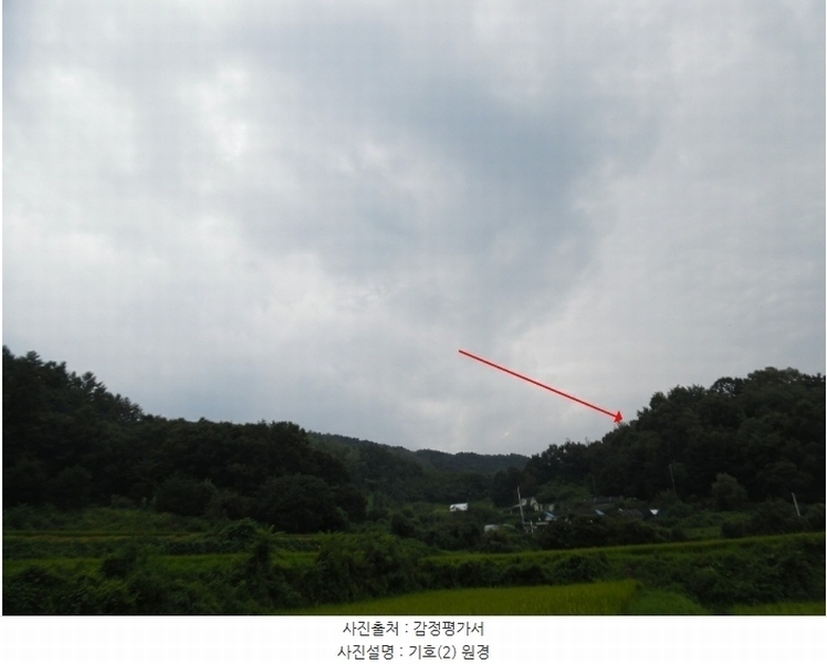2023타경3464 경기도 여주시 대신면 옥촌리 31-2 임야 경매 이미지