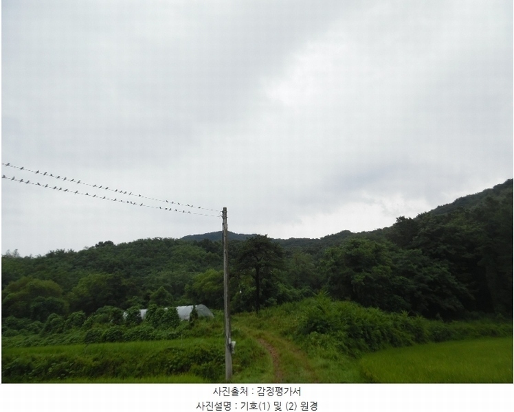 2023타경3464 경기도 여주시 대신면 옥촌리 31-2 임야 경매 이미지