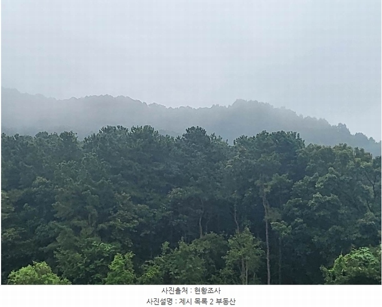 2023타경3464 경기도 여주시 대신면 옥촌리 31-2 임야 경매 이미지