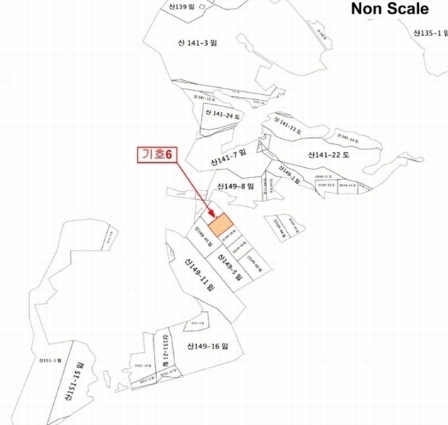 2024타경5801 경기도 양평군 옥천면 아신리 산149-57 임야 경매 이미지