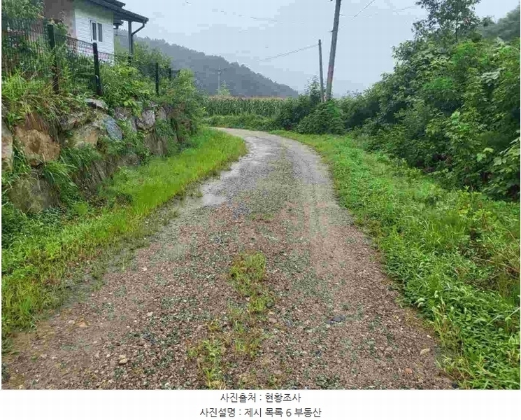 2023타경3464 경기도 여주시 대신면 옥촌리 24-5 도로 경매 이미지