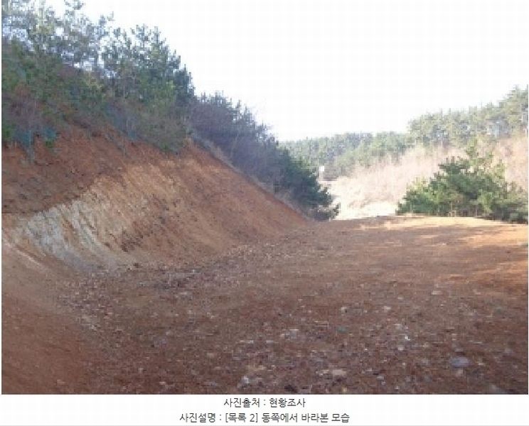 2025타경51090 충청남도 태안군 원북면 황촌리 186-10 임야 경매 이미지