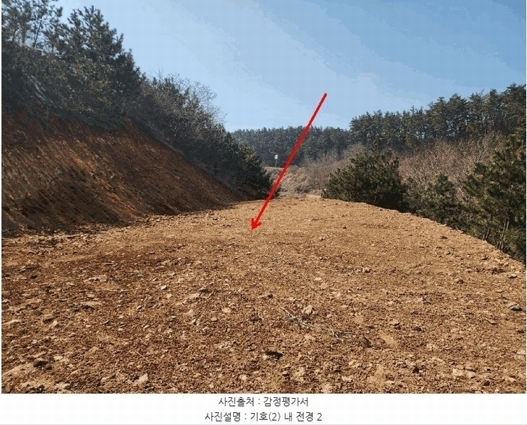 2025타경51090 충청남도 태안군 원북면 황촌리 186-10 임야 경매 이미지