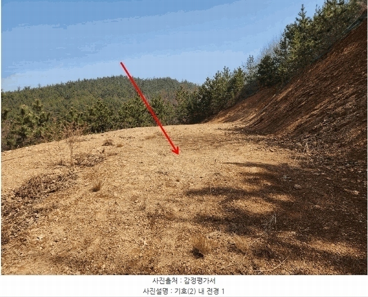 2025타경51090 충청남도 태안군 원북면 황촌리 186-10 임야 경매 이미지