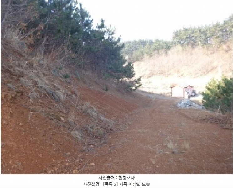 2025타경51090 충청남도 태안군 원북면 황촌리 186-10 임야 경매 이미지