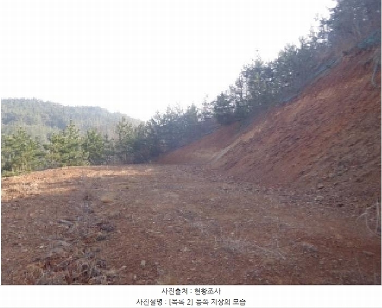 2025타경51090 충청남도 태안군 원북면 황촌리 186-10 임야 경매 이미지
