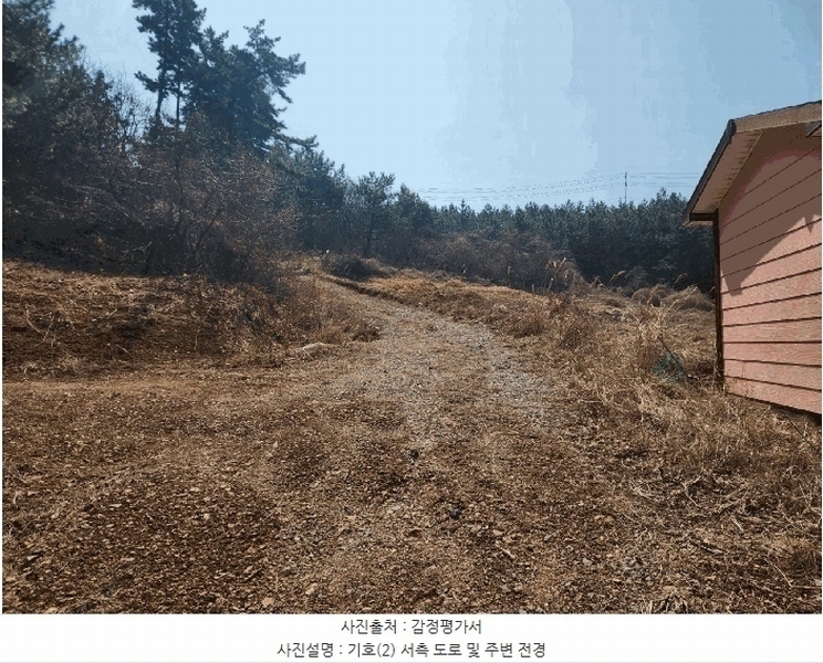 2025타경51090 충청남도 태안군 원북면 황촌리 186-10 임야 경매 이미지
