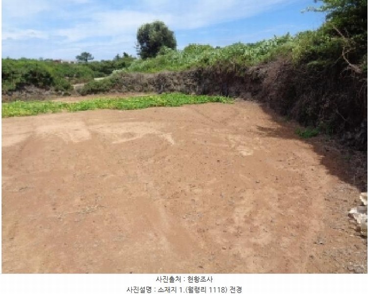 2025타경8524 제주특별자치도 제주시 한림읍 월령리 1118 농지 경매 이미지