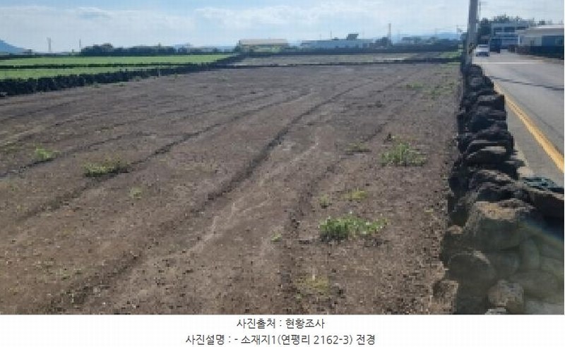 2025타경1698 제주특별자치도 제주시 우도면 연평리 2162-3 농지 경매 이미지