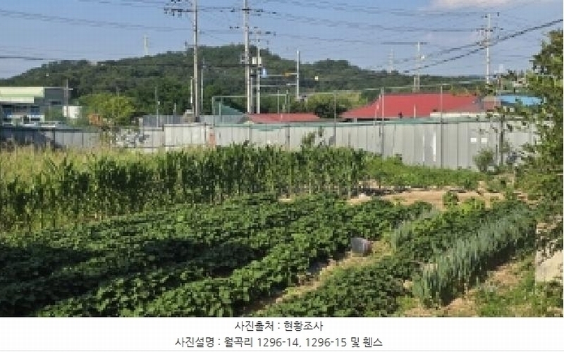 2025타경11149 경상북도 김천시 농소면 월곡리 1296-14 농지 경매 이미지