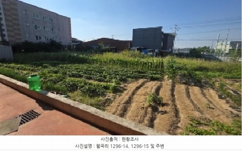 2025타경11149 경상북도 김천시 농소면 월곡리 1296-14 농지 경매 이미지