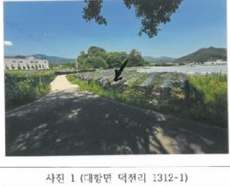 2025타경11171 경상북도 김천시 대항면 덕전리 1312-1 농지 경매 이미지