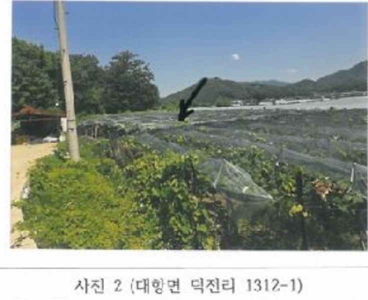 2025타경11171 경상북도 김천시 대항면 덕전리 1312-1 농지 경매 이미지