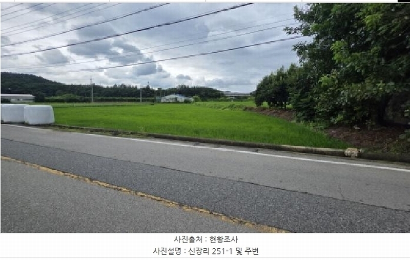2025타경11233 경상북도 구미시 장천면 신장리 251-1 농지 경매 이미지