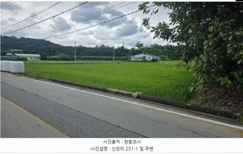 2025타경11233 경상북도 구미시 장천면 신장리 251-1 농지 경매 이미지