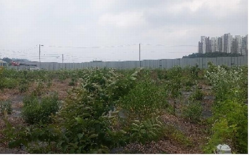 2025타경11790 충청남도 천안시 서북구 직산읍 삼은리 89-11 농지 경매 이미지