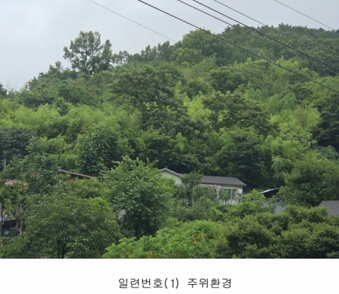 2025타경33189 전라남도 화순군 동면 국동리 385 대지 경매 이미지