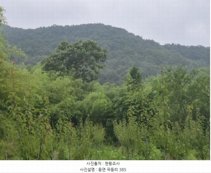 2025타경33189 전라남도 화순군 동면 국동리 385 대지 경매 이미지