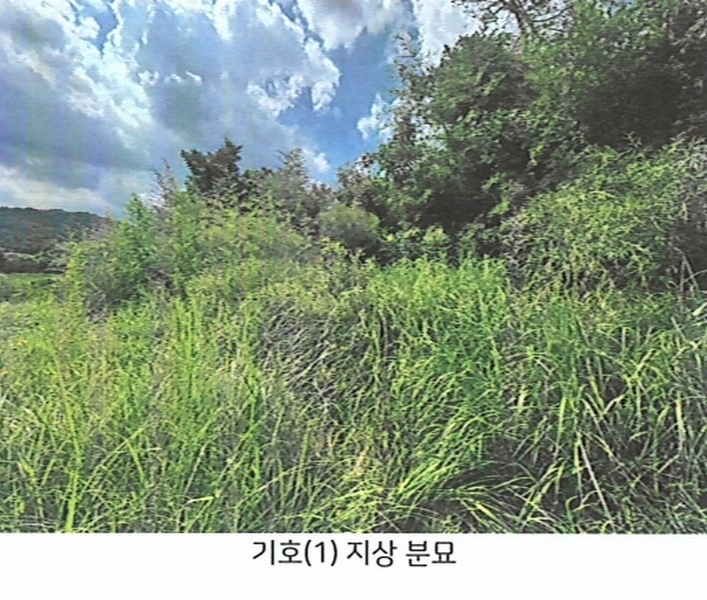 2025타경33312 광주광역시 광산구 산정동 664-1 농지 경매 이미지