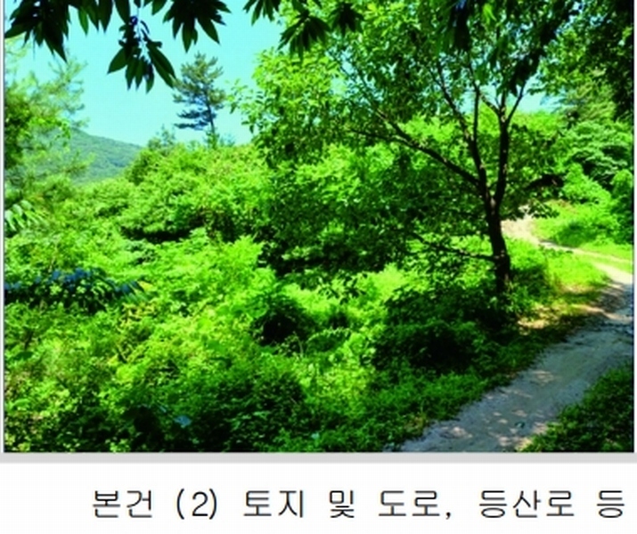 2025타경20364 충청남도 계룡시 엄사면 향한리 471-4 임야 경매 이미지