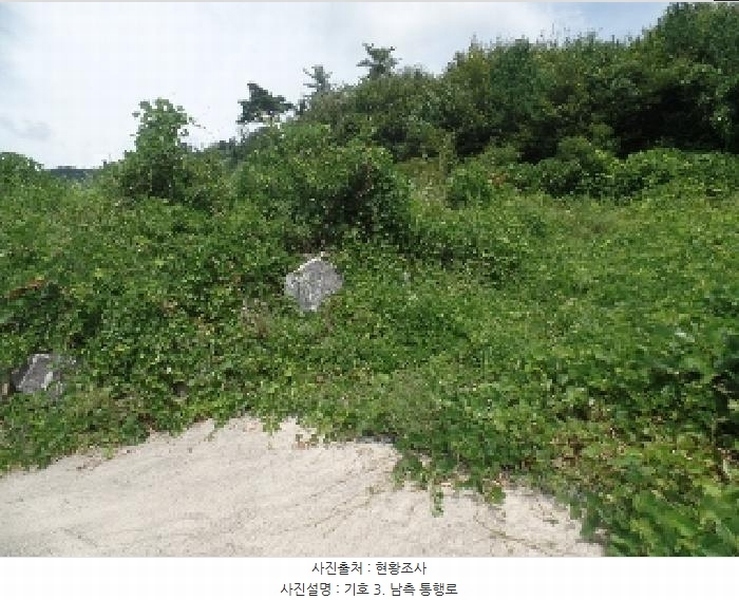 2025타경20364 충청남도 계룡시 엄사면 향한리 471-4 임야 경매 이미지