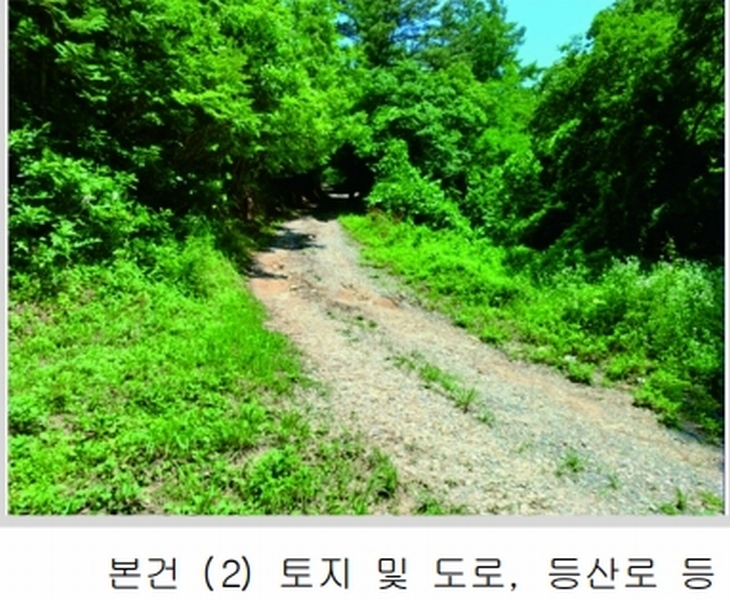 2025타경20364 충청남도 계룡시 엄사면 향한리 471-4 임야 경매 이미지