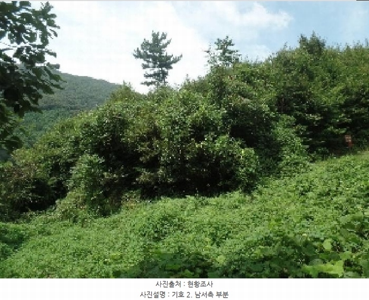 2025타경20364 충청남도 계룡시 엄사면 향한리 471-4 임야 경매 이미지