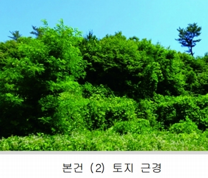 2025타경20364 충청남도 계룡시 엄사면 향한리 471-4 임야 경매 이미지