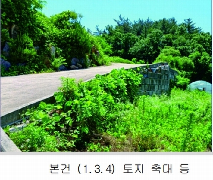 2025타경20364 충청남도 계룡시 엄사면 향한리 471-4 임야 경매 이미지