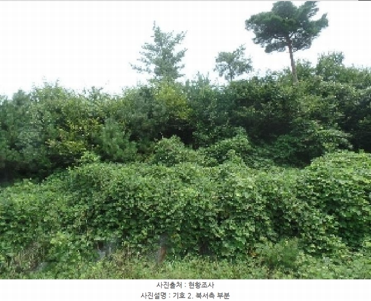 2025타경20364 충청남도 계룡시 엄사면 향한리 471-4 임야 경매 이미지