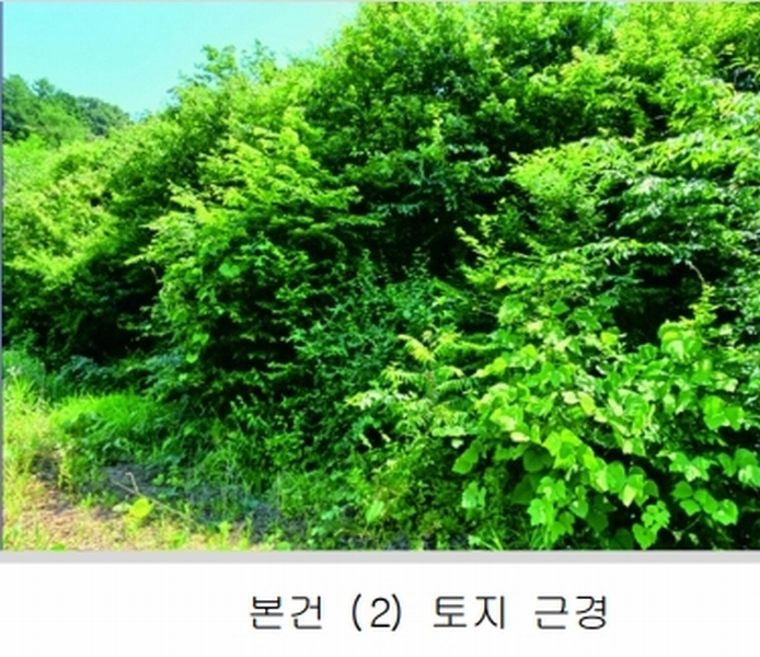 2025타경20364 충청남도 계룡시 엄사면 향한리 471-4 임야 경매 이미지
