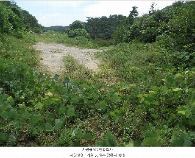 2025타경20364 충청남도 계룡시 엄사면 향한리 471-4 임야 경매 이미지