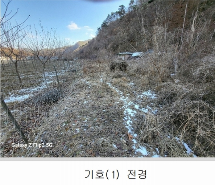 2024타경2070 충청남도 논산시 벌곡면 사정리 399 숙박시설 경매 이미지