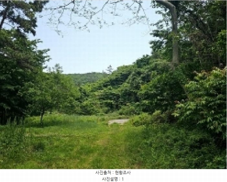2025타경50468 전라남도 진도군 진도읍 동외리 산74-1 임야 경매 이미지