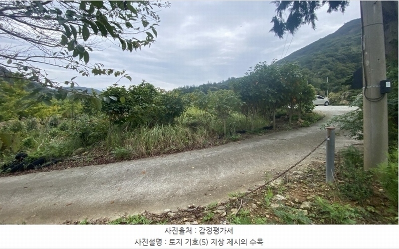 2024타경54068 전라남도 완도군 군외면 황진리 213-1 농지 경매 이미지