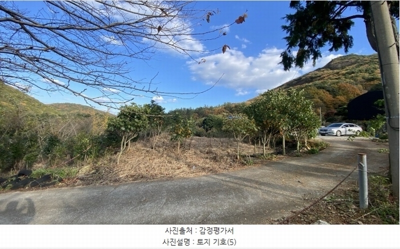 2024타경54068 전라남도 완도군 군외면 황진리 213-1 농지 경매 이미지