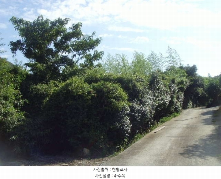 2024타경54068 전라남도 완도군 군외면 황진리 217-4 농지 경매 이미지