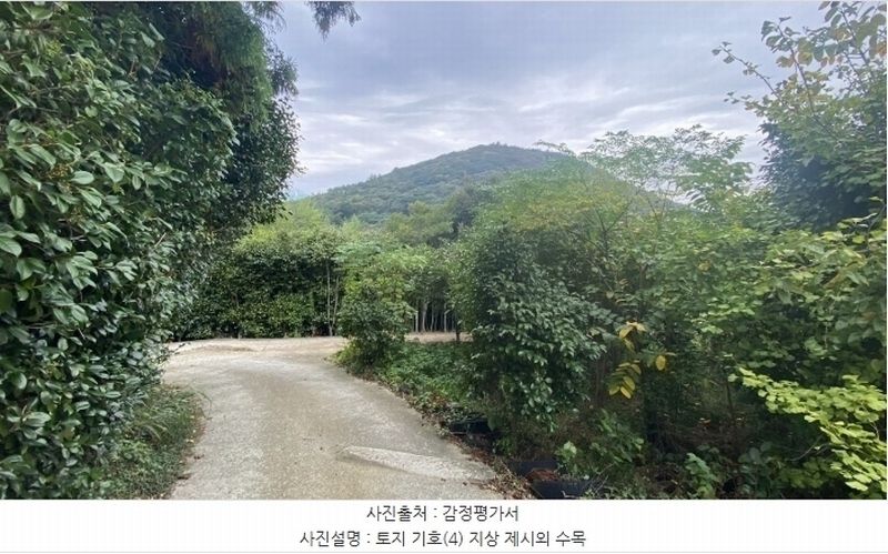 2024타경54068 전라남도 완도군 군외면 황진리 217-4 농지 경매 이미지