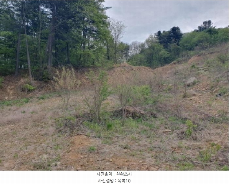 2025타경1549 경기도 가평군 상면 임초리 산42 임야 경매 이미지