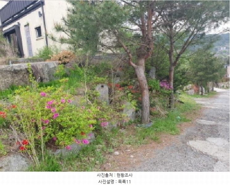 2025타경1549 경기도 가평군 상면 임초리 산42-7 임야 경매 이미지