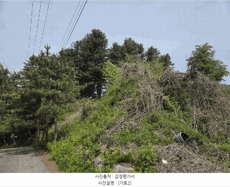 2025타경1549 경기도 가평군 상면 임초리 106-15 임야 경매 이미지