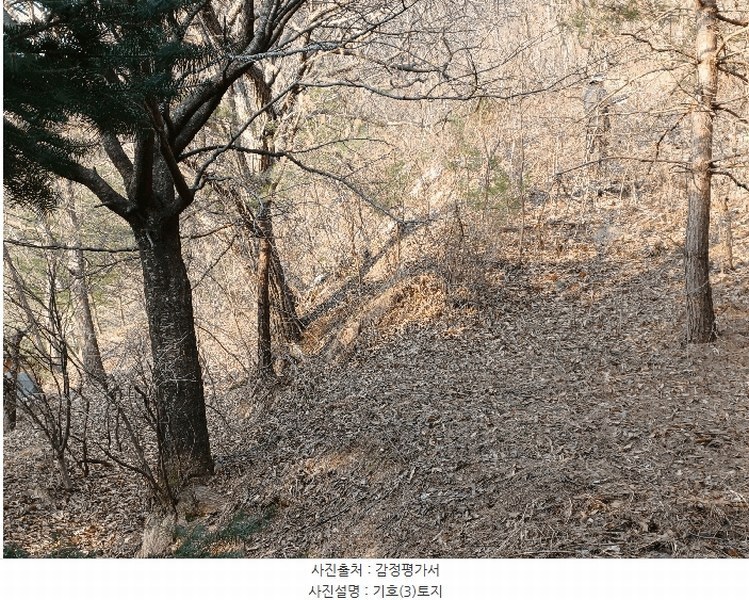 2025타경136 경상북도 문경시 농암면 내서리 739-5 농지 경매 이미지