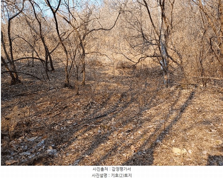 2025타경136 경상북도 문경시 농암면 내서리 738 농지 경매 이미지