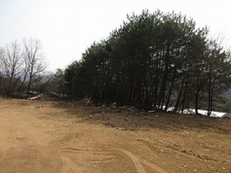 2025타경134 경상북도 문경시 농암면 내서리 741-8 잡종지 경매 이미지